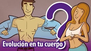 12 vestigios evolutivos ¡en tu cuerpo [upl. by Esilehc]