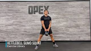 Kettlebell Sumo Squat [upl. by Brigida601]