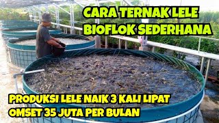 CARA TERNAK LELE BIOFLOK SEDERHANA  HASIL PRODUKSI LELE NAIK 3 KALI LIPAT OMSET 35 JUTA PER BULAN [upl. by Durgy]