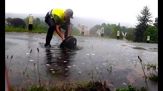 draining flooded street in different regions [upl. by Anniroc]