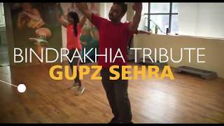 Bhangra Simple Choreography  Bindrakhia Tribute  Gupz Sehra [upl. by Enilemme284]