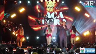 RAÇA NEGRA 40 ANOS  SHOW COMPLETO CanalRacaNegraFandom [upl. by Kila594]