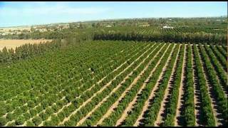 Riverina Agriculture Australia by Vince Bucello [upl. by Jari762]