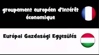 VOCABULAIRE EN 20 LANGUES  groupement européen dintérêt économique [upl. by Notak]