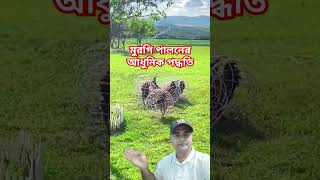 আধুনিক পদ্ধতিতে মুরগি পালন shortvideo allaboutautomobiles funny automobileuniversear [upl. by Eseilana258]