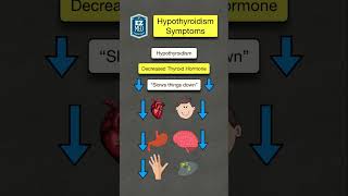 The Best Form of Magnesium For Your Thyroid [upl. by Dickman254]