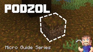 Podzol  Minecraft Micro Guide [upl. by Sussi]