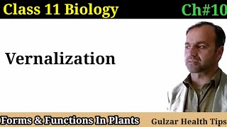 Vernalization  significance of Vernalization  Forms and functions in plants  Class 11th Biology [upl. by Sower]