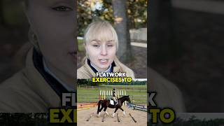 3 Fun Flatwork Exercises To Improve Contact With Your Horse🏇✨ equestriantips flatwork horsegirl [upl. by Selrahcnhoj]