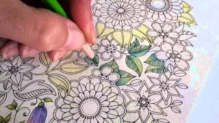 Colouring Secret Garden with Bruynzeel Super Sixties pencils [upl. by Bacchus578]