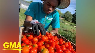 Meet the Disney Dreamer student who started a farm to address food insecurity [upl. by Adyaj]