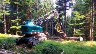 Tracked Harvester  Neuson Ecotec 242 HVT in Action [upl. by Korman401]