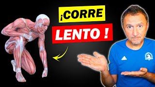 𝗥𝗘𝗔𝗖𝗖𝗜𝗢𝗡𝗔 HAY que CORRER LENTO [upl. by Marolda]