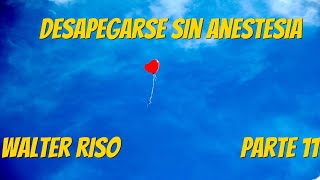 Desapegarse Sin Anestesia  Walter Riso Parte 11 [upl. by Lowe930]