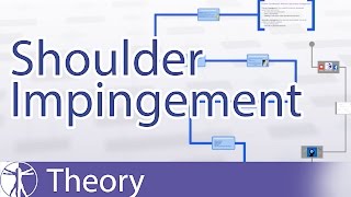 Shoulder Impingement Explained [upl. by Aran891]