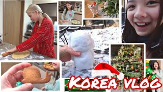 Рождество в Корее  День первый  KOREA VLOG [upl. by Ehudd]