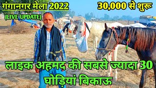 लाइक अहमद लाएं 30 घोड़ियां सबसे ज्यादा बिकाऊ।। गंगानगर मेला 2022।।ganganagar horse mela 2022।। [upl. by Sophey]