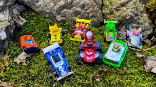 Looking PAW Patrol  PAW Patrol Toys  Everest Zuma Skye Marshall Rubble Chase  Video for kids [upl. by Vita]