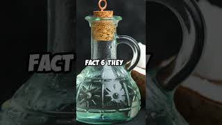 7 Amazing Facts About Coconuts You Didnt know facts shorts fruit coconut nature didyouknow [upl. by Crandale]