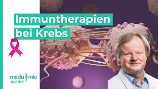 Krebs So kann Immuntherapie bei Tumoren helfen 🩺​ Prof Dr Stefaan W Van Gool [upl. by Tigges954]