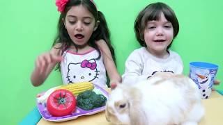 Heidi Play with Food Vegetables toys HZHtube kids fun [upl. by Dambro]