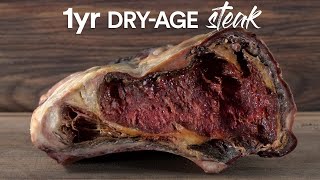 I dryaged STEAKS for 1 YEAR and ate it [upl. by Teerprah]