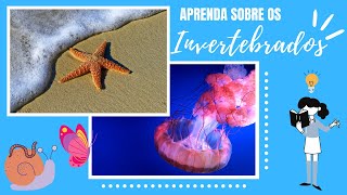 INVERTEBRADOS PRINCIPAIS FILOS CARACTERÍSTICAS E MAIS [upl. by Ecnesse924]