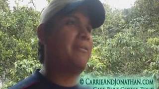 Coffee Tour in Boquete Panama Cafe Ruiz Video 1 [upl. by Pavlish]