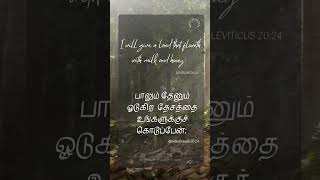 gospelinspiration mizpahhouseofworshiptrichy motivation bibleverse gospelofjesuschrist trichy [upl. by Sumerlin459]