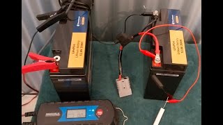 20Ah Lithium Battery Capacity Test  Testing A Second 20Ah Battery [upl. by Blessington622]