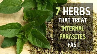 7 Herbs That Treat Internal Parasites Fast  Healthy Living Tips [upl. by Pollux]