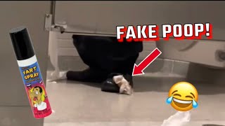 Fake Poop Prank In Public Bathrooms Insane Reaction [upl. by Annatnas]