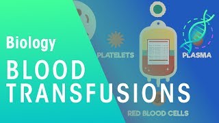 Blood transfusion  Health  Biology  FuseSchool [upl. by Aggappora561]