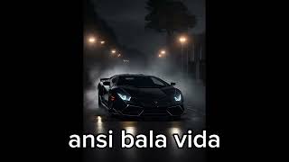 ansi bala vida full remix [upl. by Nibot]