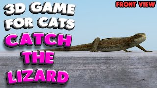 3D game for cats  CATCH THE LIZARD front view  4K 60 fps stereo sound [upl. by Nared919]