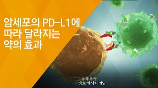 암세포의 PDL1에 따라 달라지는 약의 효과  20180808658회 방송 암과의 전쟁 면역항암제의 도전 [upl. by Alinna]