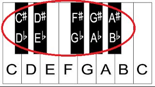 Piano Lesson 3 How To Label Piano Keys Part 3  Piano Keyboard Layout [upl. by Zalea]