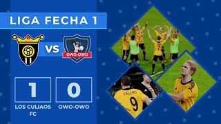 LOS CULIAOS FC vs OWO OWO  Liga Aweonaso qlo Fecha 1 [upl. by Niuqram487]