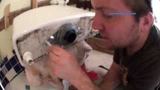 How to Change a Toilet Flush or Syphon Unit  Plumbing Tips [upl. by Aehsal]