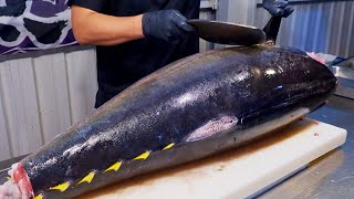 Worlds Sharpest Tuna Knife！Superb yellowfin Tuna cutting skill Luxurious sashimi  最鋒利的刀！黃鰭鮪魚切割技能 [upl. by Egbert]