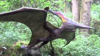 The Pterodactyl Song [upl. by Pieter]