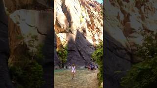 HIKING The NARROWS  Zion National Park narrows zionnationalpark utah hiking shorts deepest [upl. by Kciderf899]