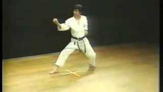 3 Kata Heian Sandan Shotokan Karate Hirokazu Kanazawa [upl. by Snashall]