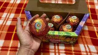 JASMINE AANR Testing Video 🤩💥 “2024 Diwali” 🪔 crackers fireworks diwali video patake [upl. by Aelak]