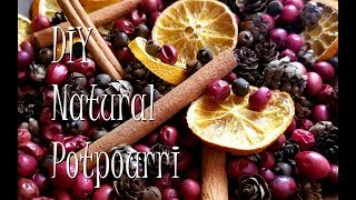 DIY  Make Your Own Holiday Potpourri [upl. by Margy]