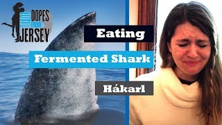 Eating Fermented Shark Hakarl [upl. by Carlen986]