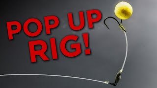 How To Tie and Use The Stiff Hinge Rig [upl. by Sanjiv]