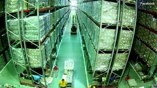 Forklift Driver Causes Entire Warehouse to Crash Like Dominoes [upl. by Nwahser]