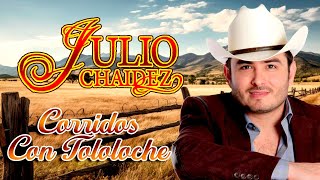 Julio Chaidez  Corridos Con Tololoche Exitos Perrones Album Completo [upl. by Corella]