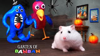 All New Monster Challenges 1 Hamster Escapes From Garten Of Banban Maze 🐹 [upl. by Desberg829]